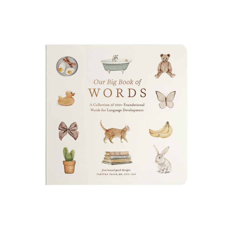 big-book-of-words-1-year-old-gift